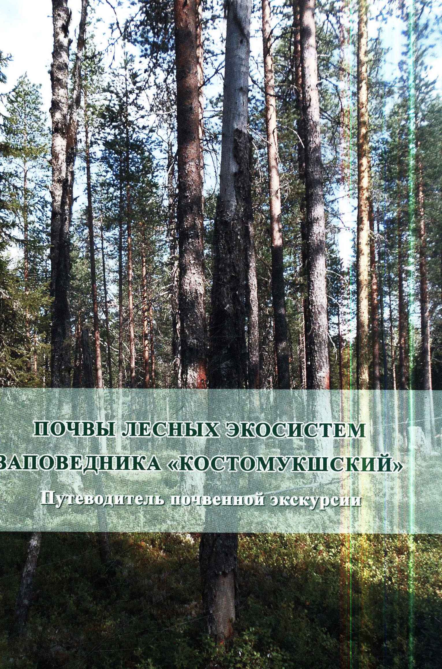 Полное описание