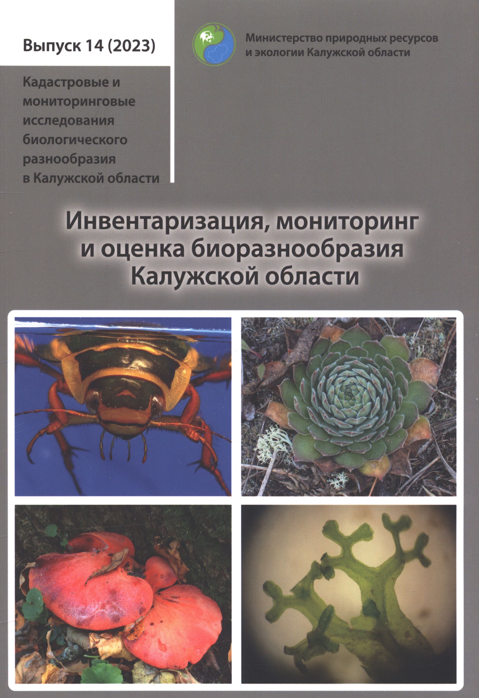 Полное описание